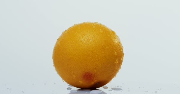 Close up of the orange grapefruit with water drops rolling in front of the camera on the white background. Macro — Stock Video