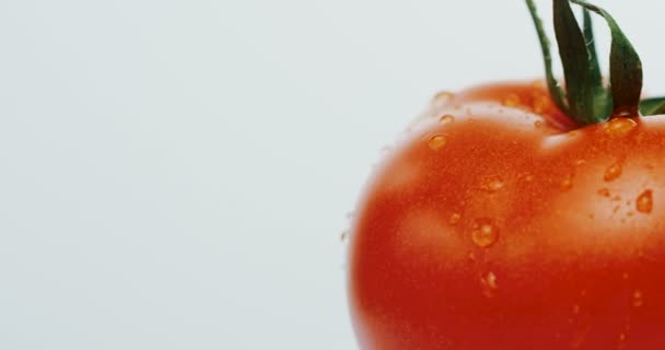 Крупним планом червоний помідор з краплями води на білому тлі. Макрозйомка — стокове відео