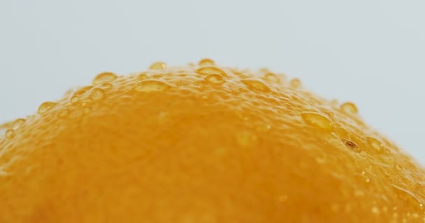 Macro prise de vue du pamplemousse orange avec des gouttes d'eau roulant sur le fond blanc de la paroi. Gros plan — Video