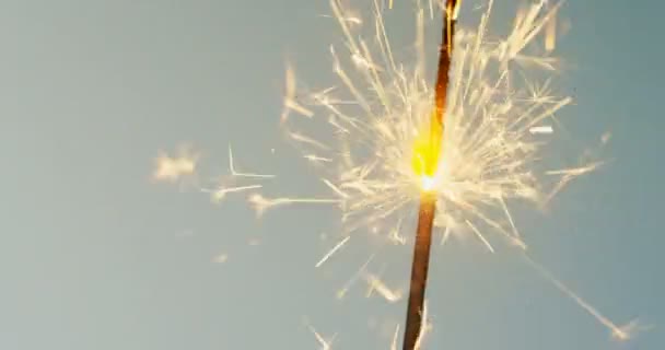 マクロは、灰色の壁の背景に赤々 と燃えて線香花火の撮影。クローズ アップ — ストック動画