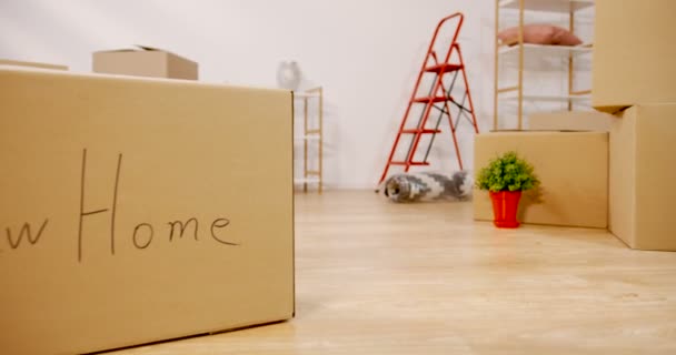 Kameran rör sig bland kartong lådor och hem saker i vardagsrummet under rör sig i lägenheten. Närbild. Inuti — Stockvideo