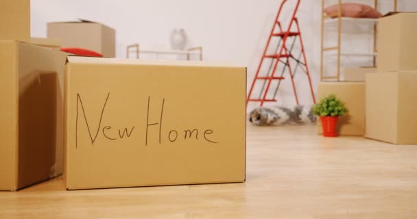 Câmera movendo-se em câmera lenta na frente das caixas de papelão e material caseiro na sala aconchegante durante a movimentação no novo apartamento. Fecha. Interior — Vídeo de Stock