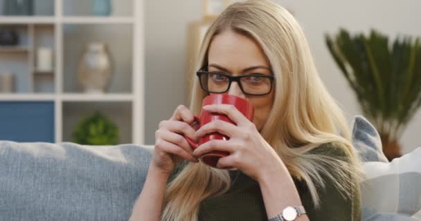 Portrét shot blonde žena v brýlích, pít čaj z červeného pohárku zatímco sedí na pohovce v obývacím pokoji. Uvnitř — Stock video