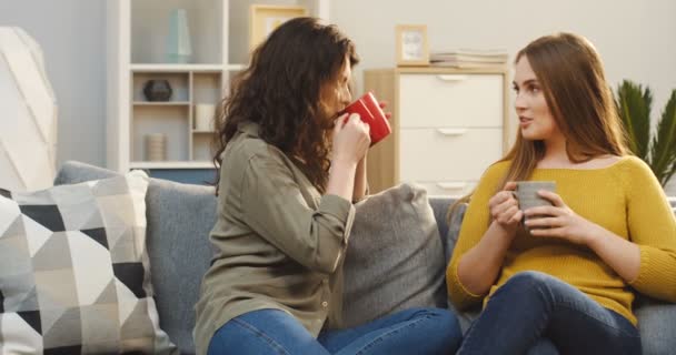 Две женщины сидят на диване, потягивают чай и дружелюбно разговаривают в уютной домашней атмосфере. В помещении — стоковое видео