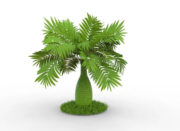 Green Plastic Tree Nice Fore Presentation Commercial Purposes — Stock Photo, Image