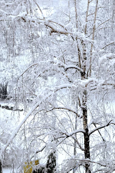 ポートフォリオ Golemi84 ストック写真 イラストとベクターアート Depositphotos