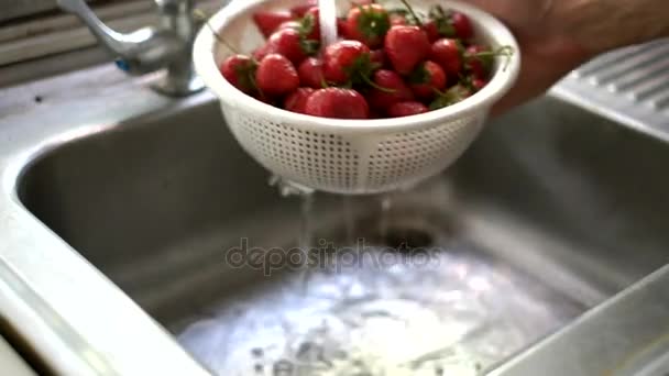 Oczyszczenie truskawka przez wody słodkiej — Wideo stockowe