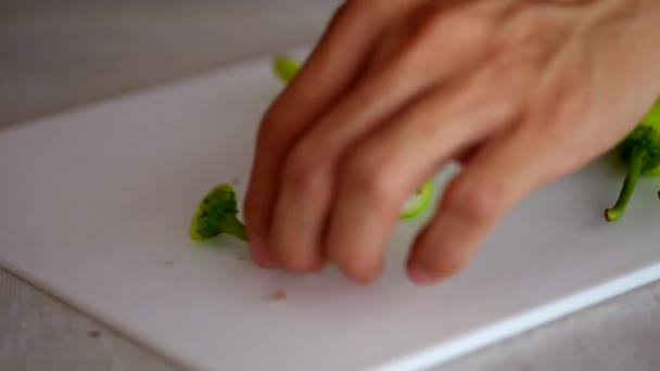 Hakken chili vóór het koken — Stockvideo