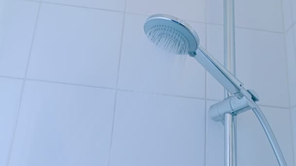 Bathroom hand shower with water stream — Stock Video