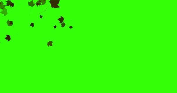 Gul, brun, röd färgglada löv höstfärger flyger på chroma key grön skärm bakgrund — Stockvideo