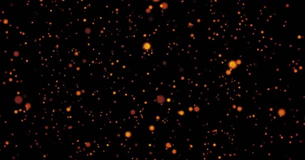 Χριστουγεννιάτικη χρυσή λάμψη σε μαύρο φόντο με αστέρια και bokeh — Αρχείο Βίντεο