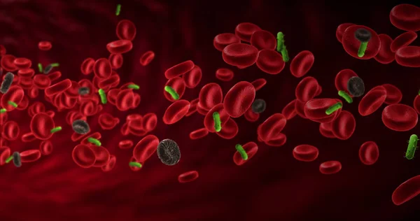 Globules rouges dans une artère avec des cellules malades près du virus et des bactéries, flux à l'intérieur du corps — Photo