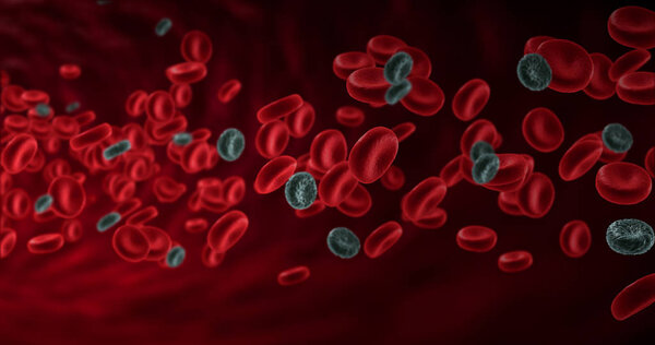 red blood cells in an artery with diseased cancer cells, flow inside body
