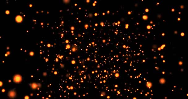 Goldglühpartikel Bokeh funkeln glitzernd wie Regen auf schwarzem Hintergrund herab, Konzept der Neujahrsfeier — Stockvideo