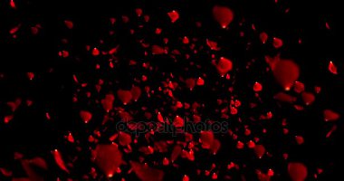 gül kırmızı renkli yaprakları siyah arka plan, sevgi ve Sevgililer gününde uçan animasyon