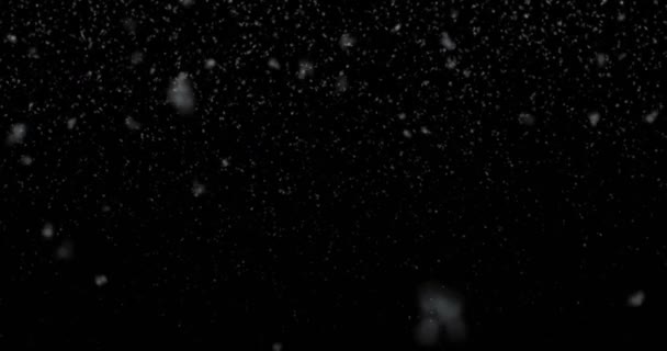Рождество снежинки падают снег с вершины, зимний праздник Рождество с звездами бесшовный цикл — стоковое видео