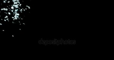 Noel en iyi, kış tatil xmas sorunsuz döngü kar düşen kar taneleri 