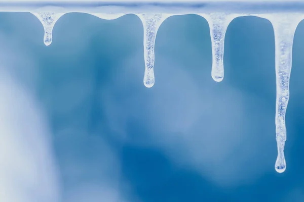Kilka z prawdziwym sopel w blisko ostrości kropli lodu, lodu stalaktyty, lodowe formacje — Zdjęcie stockowe