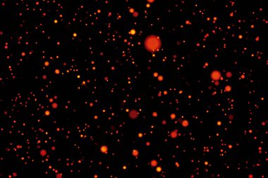 yıldızlar ve bokeh, altın tatil mutlu yeni yıl siyah zemin üzerine altın Noel ışıltı 