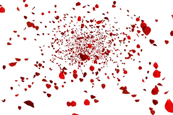 Röd färgglada kronblad rose flyger på vit bakgrund, kärlek och alla hjärtans dag — Stockfoto