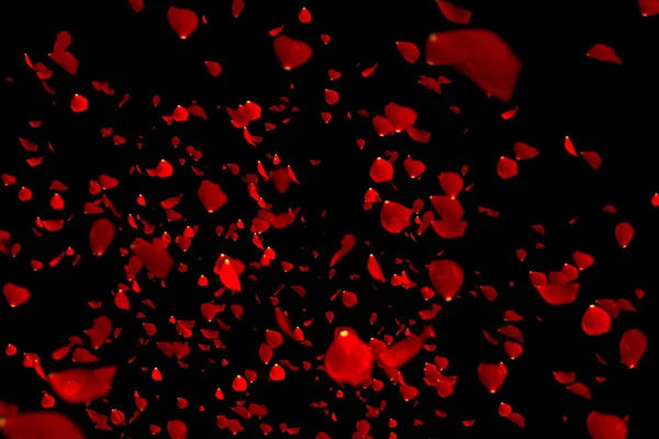 黒の背景、愛、バレンタインの日に飛んで赤いカラフルな花びらローズ — ストック写真