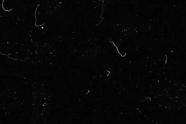 siyah ve beyaz arka plan gerçekçi titreşen, analog vintage Tv sinyali ile kötü müdahale, statik gürültü arka plan