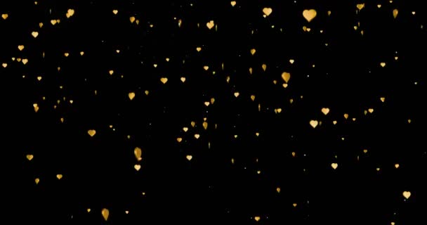 San Valentino cuori d'oro forma sorgono come crespo champagne bolle d'oro movimento su sfondo nero con alfa canale opaco, festa festivo amore giorno di San Valentino — Video Stock