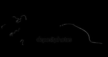 siyah ve beyaz arka plan gerçekçi titreşen, analog vintage Tv sinyali ile kötü müdahale, statik gürültü arka plan