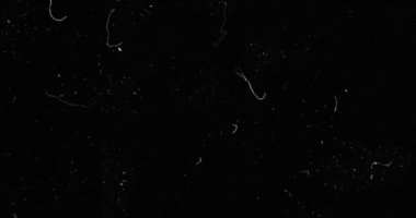 siyah ve beyaz arka plan gerçekçi titreşen, analog vintage Tv sinyali ile kötü müdahale, statik gürültü arka plan