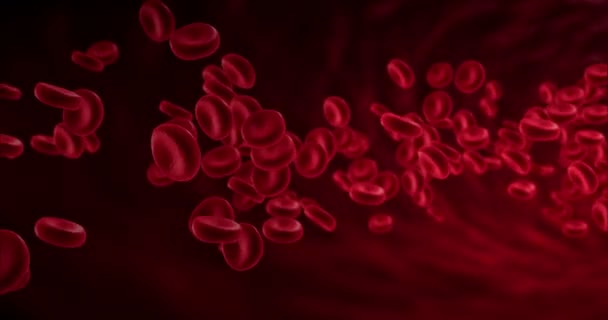globules rouges dans une artère, flux à l'intérieur du corps, soins médicaux 