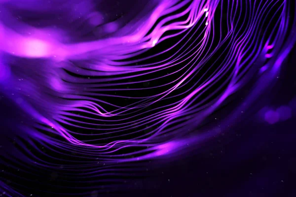 abstract stream array colorful glitter sparkle blue and purple lines with particles  on black background science and research  technology