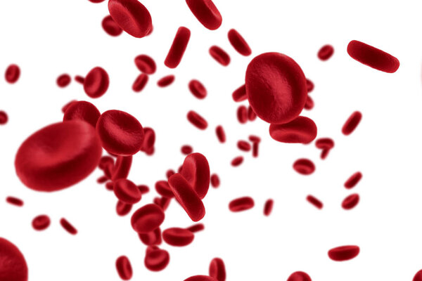 red blood cells in an artery, flow inside body, medical human health-care 