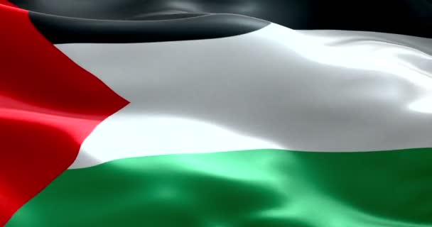 Bandeira da Palestina gaza tira acenando fundo tecido textura, crise de israel e islã Palestina, guerra de risco — Vídeo de Stock