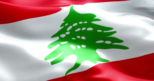 レバノンの国旗を振ってテクスチャ生地背景、国の象徴アラビア イスラム教文化のストリップします。 — ストック動画