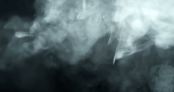 Kouř pomalu plují proti černé — Stock video