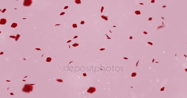piros színes szirmok rose rózsaszín háttér repülő részecskék áramlik, szerelem és Valentin nap ünnep ünnepi esemény 