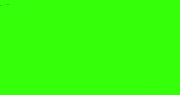 Bläck akvarell måla splatter övergången på chroma key grön skärmbakgrund, måla splatter — Stockvideo