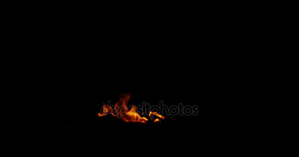 Llamas de fuego real arden en negro — Vídeo de stock