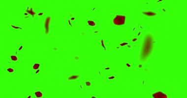 uçan chroma anahtar yeşil ekran arka planı, tatil aşk, ilişki ve Sevgililer günü üzerinde kırmızı gül yaprakları