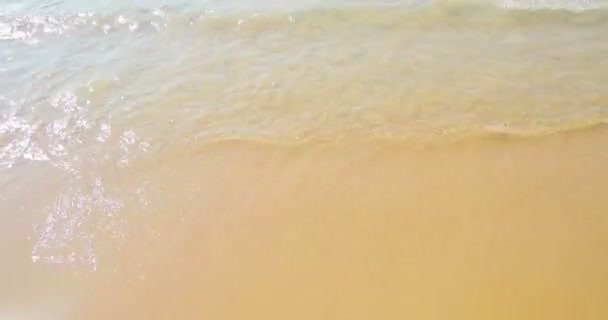 ビーチと熱帯海の波の動き、休日に夏の時間と黄金の砂 — ストック動画