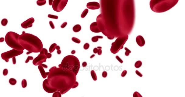 Animação de renderização 3D glóbulos vermelhos em uma artéria, fluxo dentro do corpo, cuidados médicos de saúde humana em branco — Vídeo de Stock
