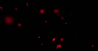 animasyon uçan siyah arka plan, sevgi ve Sevgililer günü, ilişki üzerinde kırmızı renkli Kalpler