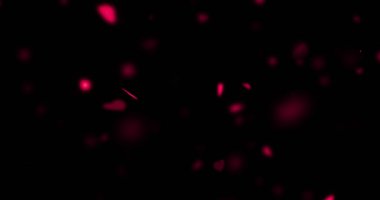 animasyon uçan siyah arka plan, sevgi ve Sevgililer günü, ilişki üzerinde kırmızı renkli Kalpler 