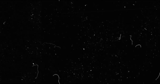 fond noir et blanc scintillement réaliste, signal de télévision analogique vintage avec mauvaise interférence, fond sonore statique 