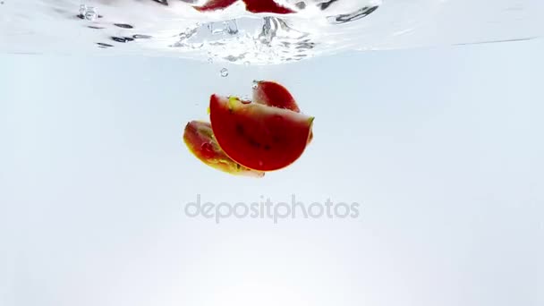 Rodajas rojas frescas salpicadura de tomate cayendo en el agua, disparado en cámara lenta sobre fondo blanco, nutrición y alimentos saludables — Vídeo de stock