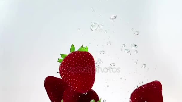 Fragole di frutta fresca rossa che cadono in acqua con spruzzi, sparato al rallentatore su sfondo bianco, fragola per la salute e la dieta, nutrizione — Video Stock