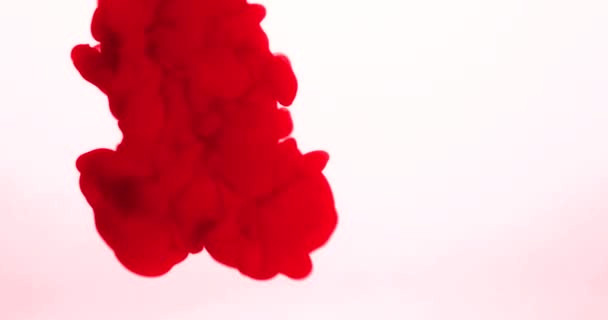 Abstract red ink splash in water on white background — Stock Video