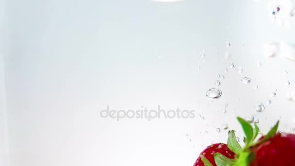 Κόκκινα φρούτα φρέσκα φράουλες που εμπίπτουν στο νερό με βουτιά σε άσπρο φόντο, φράουλα για υγεία και διατροφή, διατροφή — Αρχείο Βίντεο