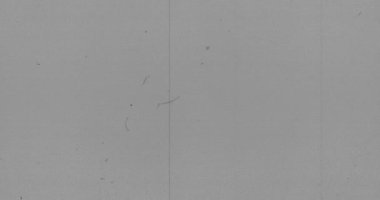 gerçekçi titreşen, vintage analog Tv sinyali ile kötü müdahale, statik gürültü arka plan gri