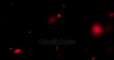 animasyon uçan siyah arka plan, sevgi ve Sevgililer günü, ilişki üzerinde kırmızı renkli Kalpler 